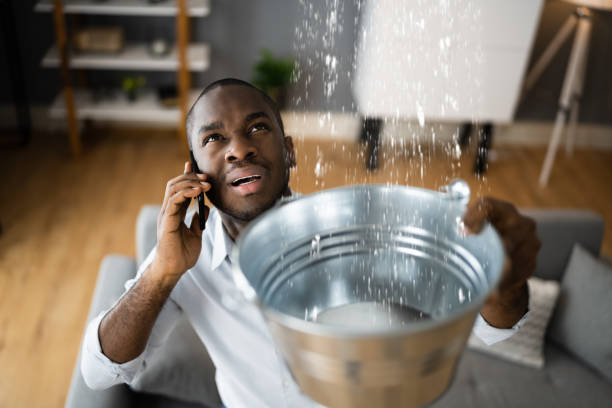 Carpet water damage restoration in Greenock, PA