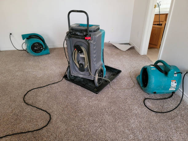 Water damage restoration mold remediation in Greenock, PA