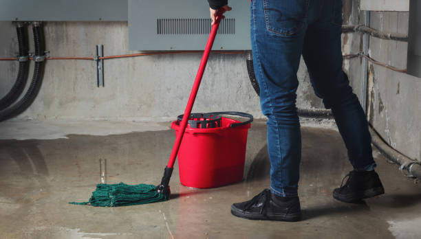 Best Professional water damage repair  in Greenock, PA