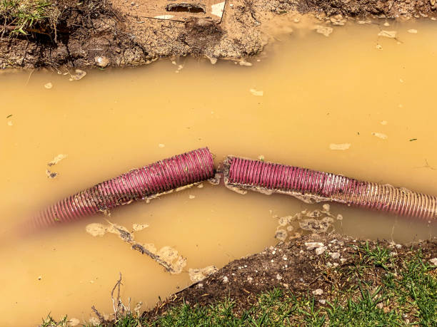 Best Water damage restoration near me  in Greenock, PA